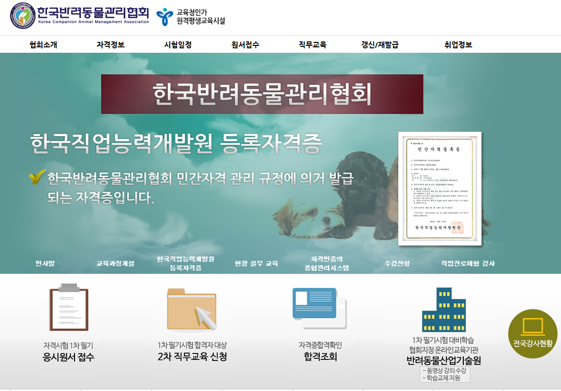 반려동물